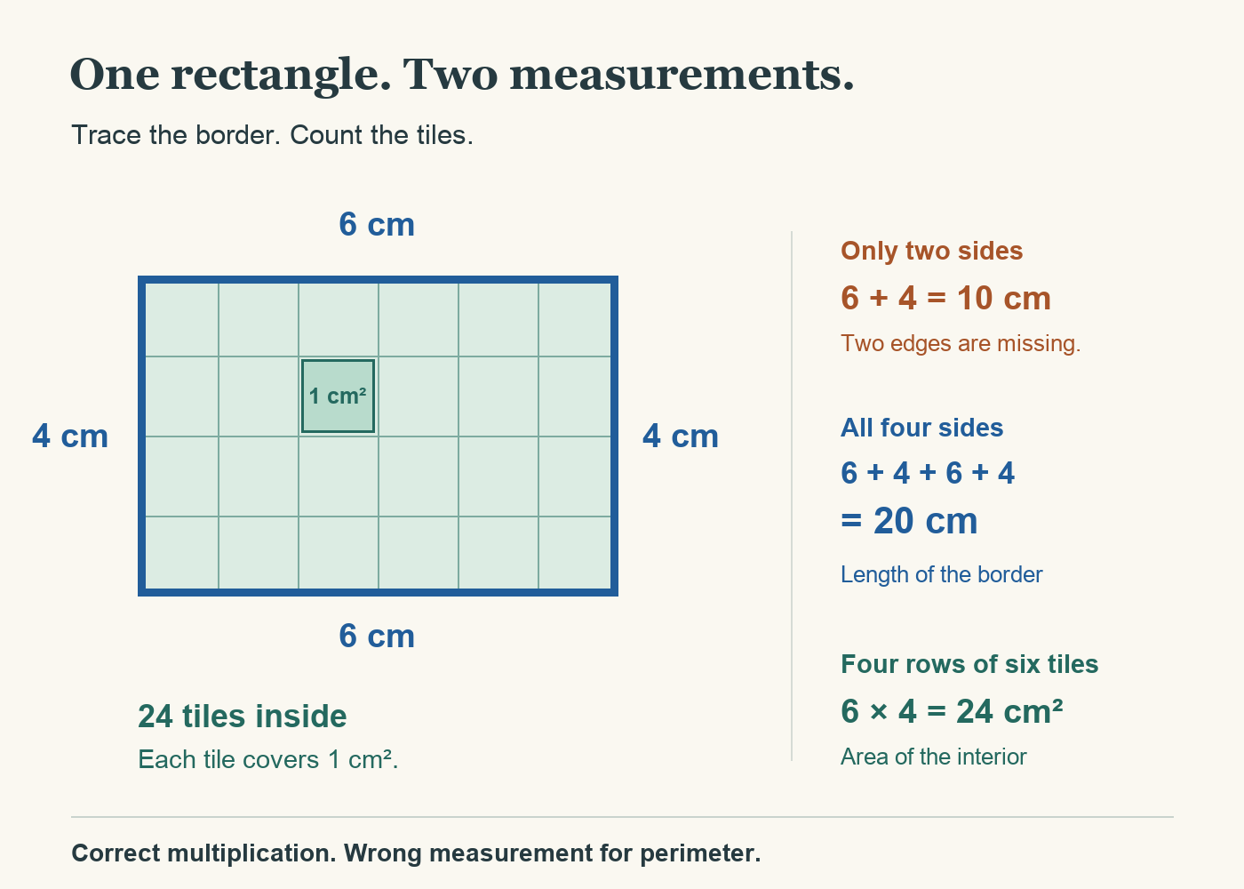 A 6 cm by 4 cm rectangle contains 24 one-square-centimetre tiles. Its blue border includes four sides totalling 20 cm. Adding only 6 and 4 gives 10 cm and misses two sides.