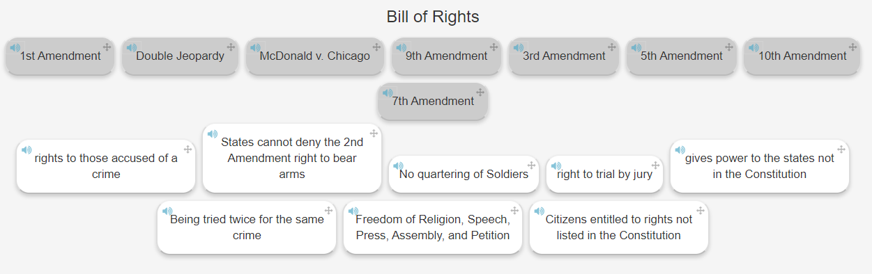 Bill of Rights matching activity with amendments and examples.