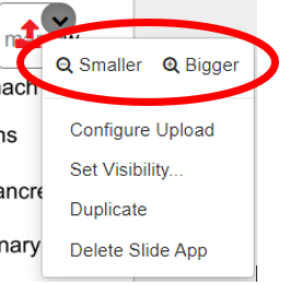 Slide App menu highlighting Smaller and Bigger controls.