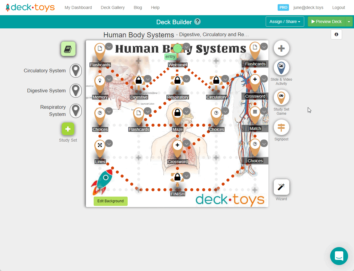 Deck Builder preview of a Human Body Systems lesson.