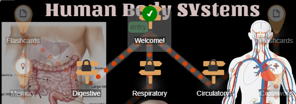 Human Body Systems lesson map with digestive, respiratory and circulatory sections.