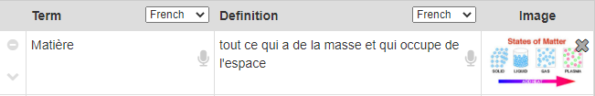 Study Set entry with a French term, definition and supporting image.