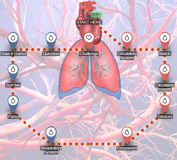 Human-body lesson map centred on an illustrated pair of lungs.